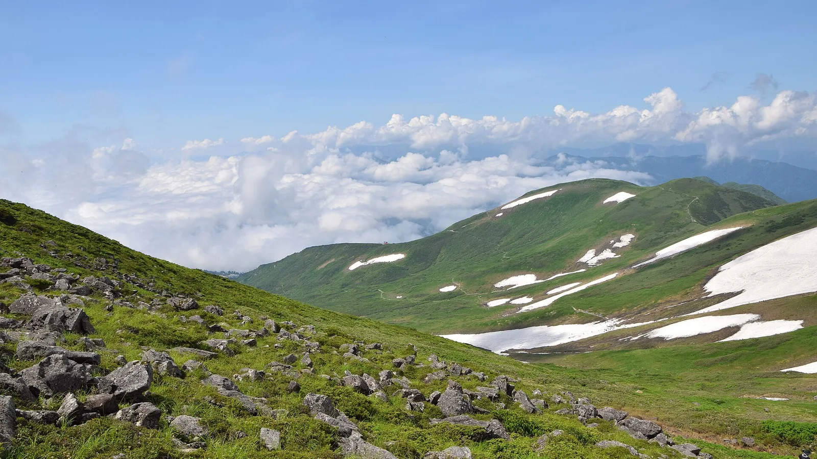 クマ安全の記事で扱う山域に近い山形県の月山。