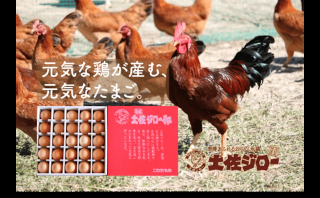 うらにわ 土佐ジロー有精卵 25個 · うらにわ自然たまご園